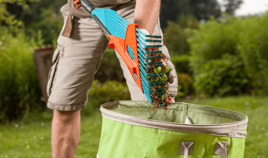 Yard Waste Removal